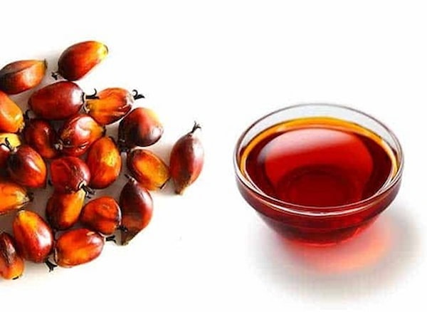 تصویر 1 از قیمت روغن هسته خرما فلاوینا + خرید باور نکردنی
